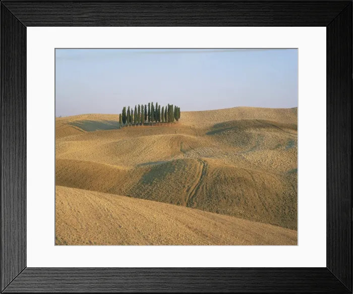 Framed Print : Landscape of bare fields and cypress trees in Tuscany Framed Print : Landscape of bare fields and cypress trees in Tuscany