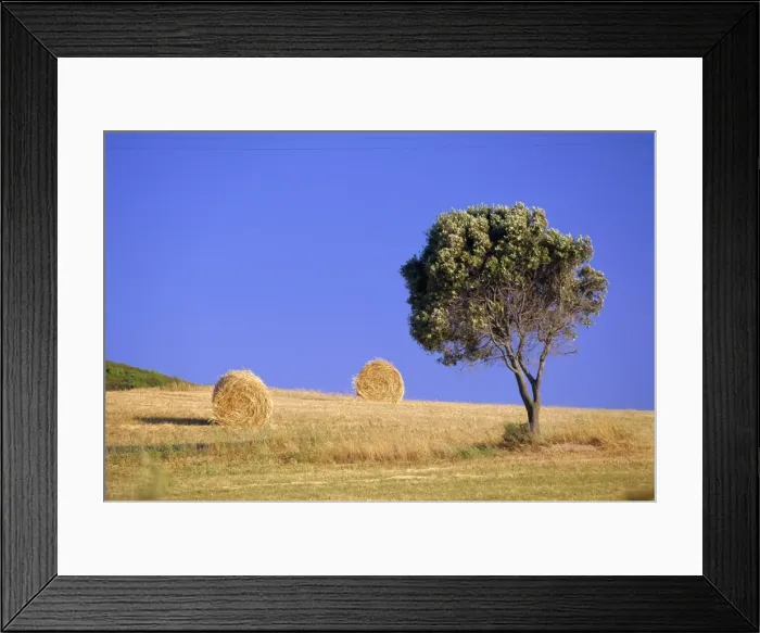 Framed Print : Countryside Framed Print : Countryside