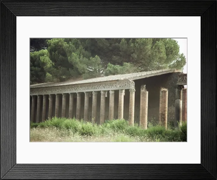 Framed Print : Great Palaestra Framed Print : Great Palaestra
