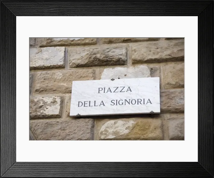 Framed Print : Piazza della Signoria Framed Print : Piazza della Signoria