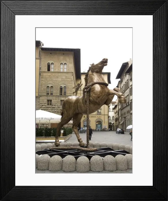 Framed Print : Florence (Firenze) Framed Print : Florence (Firenze)