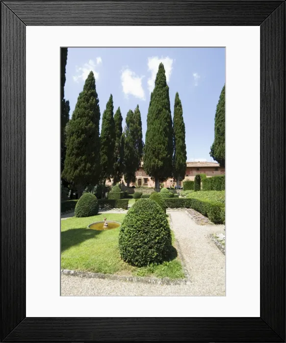 Framed Print : The gardens of the Villa Vignamaggio Framed Print : The gardens of the Villa Vignamaggio