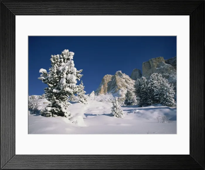 Framed Print : Snow covered trees and mountains at the Passo Sella Framed Print : Snow covered trees and mountains at the Passo Sella