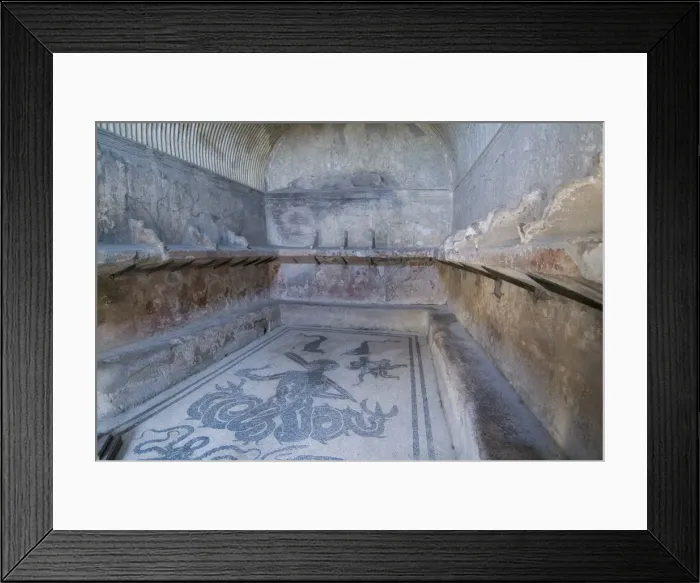 Framed Print : Bath house mosaic from Herculaneum Framed Print : Bath house mosaic from Herculaneum