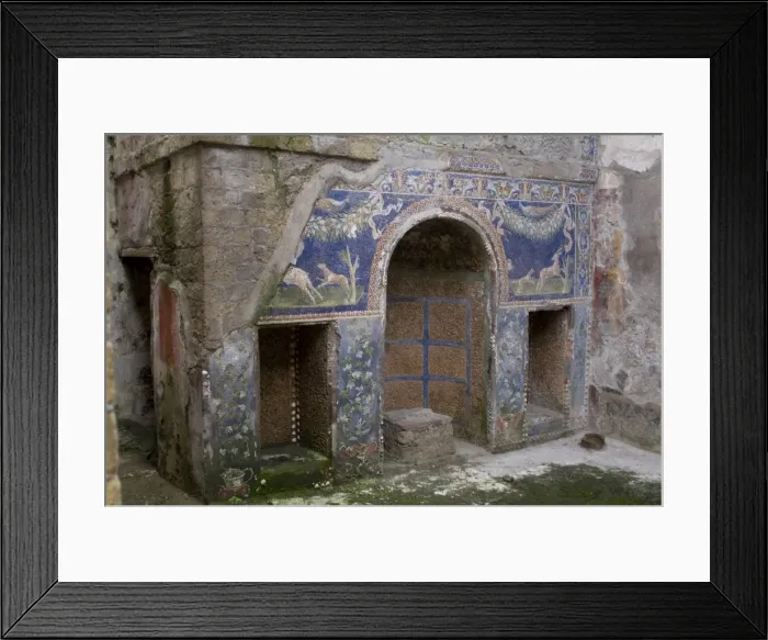Framed Print : Mosaic from the House of Neptune and Amphitrite Framed Print : Mosaic from the House of Neptune and Amphitrite