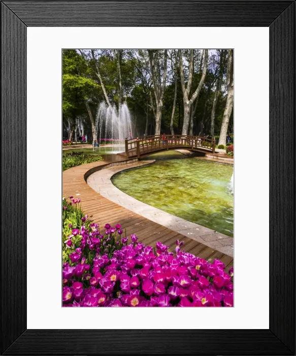 Framed Print : Tulips and fountains in Gulhane Park (Rosehouse Park), Istanbul, Turkey, Europe Framed Print : Tulips and fountains in Gulhane Park (Rosehouse Park), Istanbul, Turkey, Europe