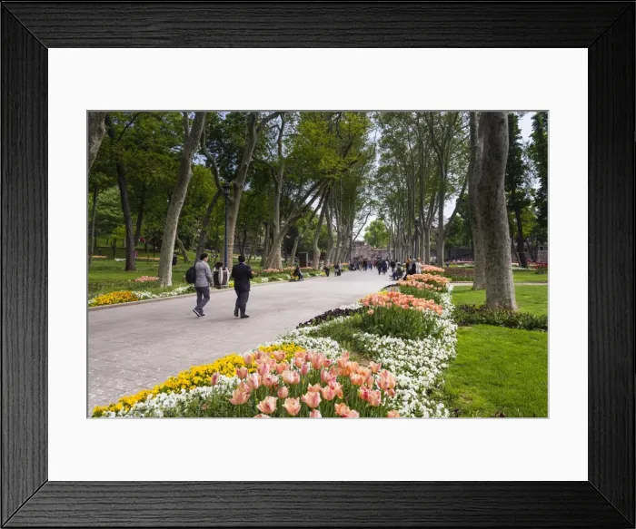 Framed Print : Tulips in Gulhane Park (Rosehouse Park), Istanbul, Turkey, Europe Framed Print : Tulips in Gulhane Park (Rosehouse Park), Istanbul, Turkey, Europe