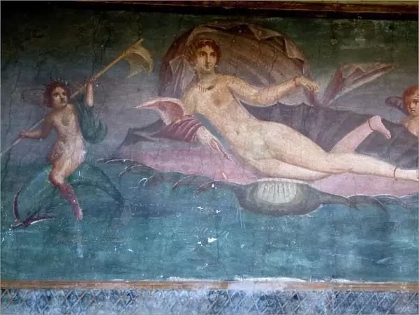 Fresco from the House of Venus