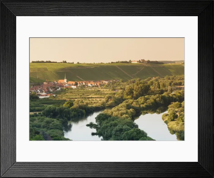 Framed Print : Wine village of Escherndorf and Vogelsburg Castle, Volkacher Mainschleife, Main River Framed Print : Wine village of Escherndorf and Vogelsburg Castle, Volkacher Mainschleife, Main River