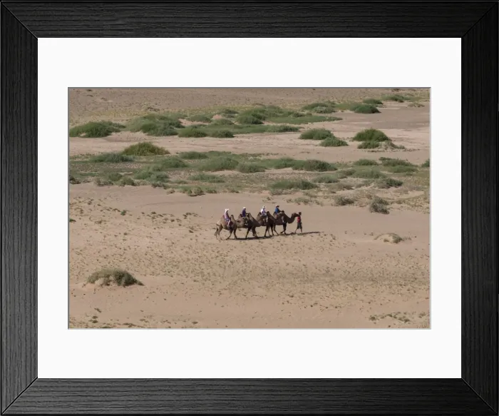 Framed Print : Tourists on Bactrian camel train cross sandy landscape, elevated view in summer Framed Print : Tourists on Bactrian camel train cross sandy landscape, elevated view in summer