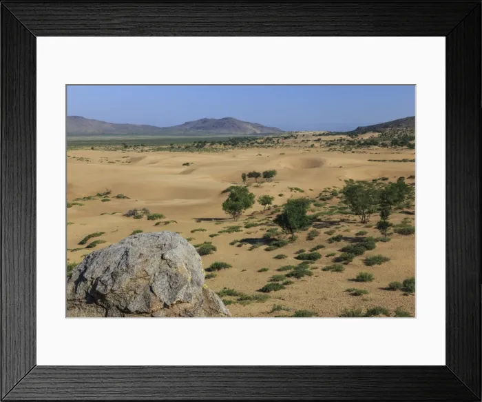 Framed Print : View over Mongol Els sand dunes on a summer morning, Khogno Khan Uul Nature Reserve Framed Print : View over Mongol Els sand dunes on a summer morning, Khogno Khan Uul Nature Reserve