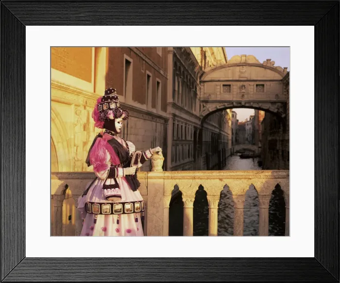 Framed Print : Carnival costume and the Bridge of Sighs Framed Print : Carnival costume and the Bridge of Sighs