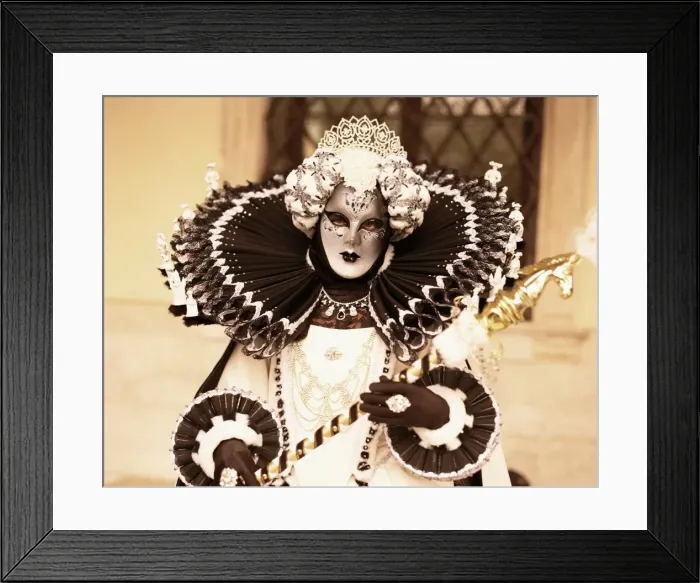 Framed Print : Carnival costume Framed Print : Carnival costume