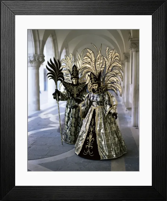 Framed Print : Carnival costumes Framed Print : Carnival costumes