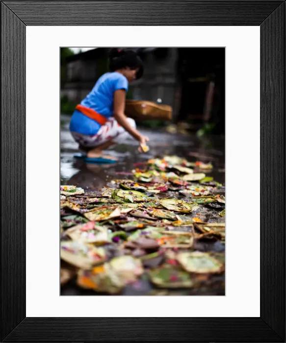 Framed Print : A lady gives her daily offering in Bali, Indonesia, Southeast Asia, Asia Framed Print : A lady gives her daily offering in Bali, Indonesia, Southeast Asia, Asia