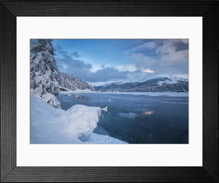 Framed Print : Snowy trees on the shore of the frozen Lake Sils, Upper Engadine, Canton of Grisons (Graubunden) Framed Print : Snowy trees on the shore of the frozen Lake Sils, Upper Engadine, Canton of Grisons (Graubunden)