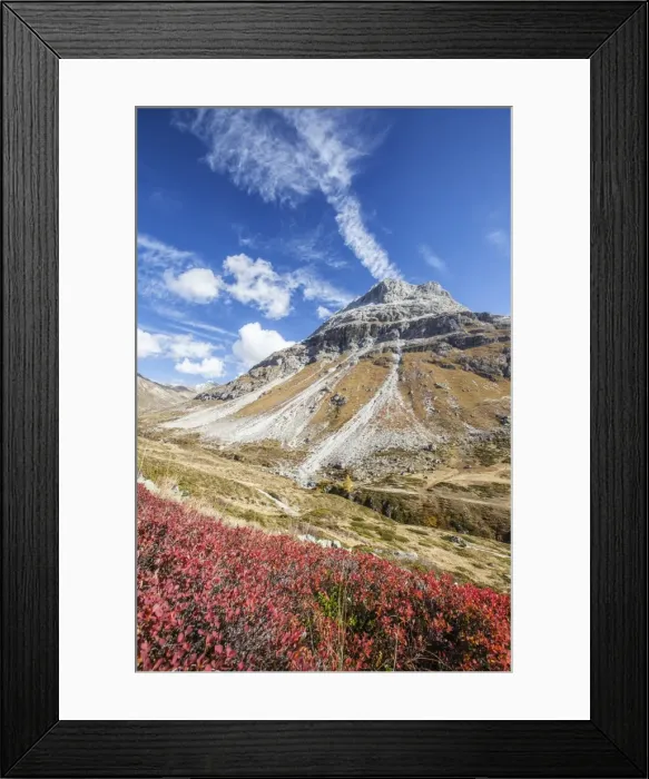 Framed Print : Cranberries and autumn colors, Fain Valley, Engadine, Canton of Grisons (Graubunden) Framed Print : Cranberries and autumn colors, Fain Valley, Engadine, Canton of Grisons (Graubunden)