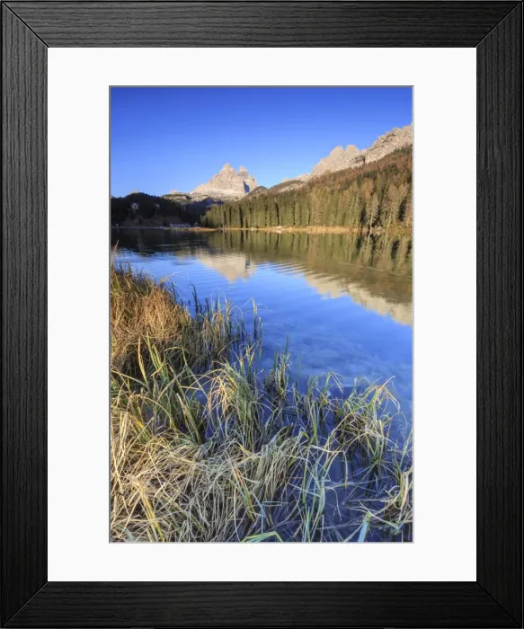 Framed Print : The Three Peaks of Lavaredo and woods reflected in Lake Misurina, Auronzo of Cadore Framed Print : The Three Peaks of Lavaredo and woods reflected in Lake Misurina, Auronzo of Cadore
