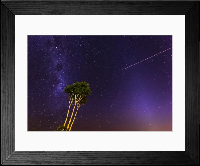 Framed Print : Milky Way with a tree at Lamington National Park, Queensland, Australia, Pacific Framed Print : Milky Way with a tree at Lamington National Park, Queensland, Australia, Pacific
