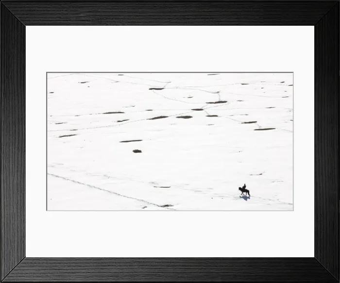 Framed Print : A lonely horse rider on the frozen plains of Mongolia, Central Asia, Asia Framed Print : A lonely horse rider on the frozen plains of Mongolia, Central Asia, Asia
