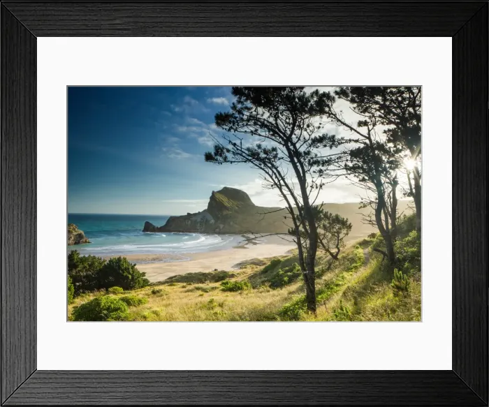 Framed Print : Deliverance Cove, Castlepoint, Wellington Region, North Island, New Zealand, Pacific Framed Print : Deliverance Cove, Castlepoint, Wellington Region, North Island, New Zealand, Pacific