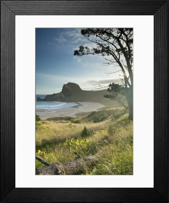 Framed Print : Deliverance Cove, Castlepoint, Wellington Region, North Island, New Zealand, Pacific Framed Print : Deliverance Cove, Castlepoint, Wellington Region, North Island, New Zealand, Pacific