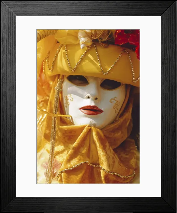 Framed Print : Person wearing masked carnival costume Framed Print : Person wearing masked carnival costume