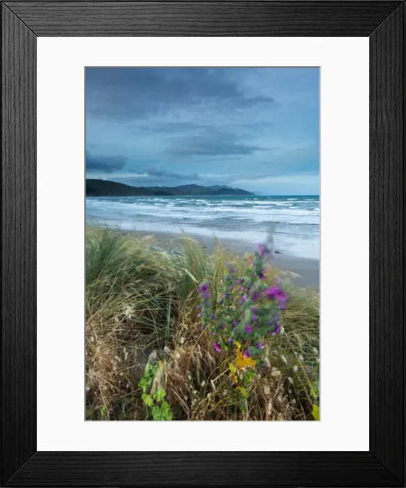 Framed Print : Castlepoint, Wellington Region, North Island, New Zealand, Pacific Framed Print : Castlepoint, Wellington Region, North Island, New Zealand, Pacific