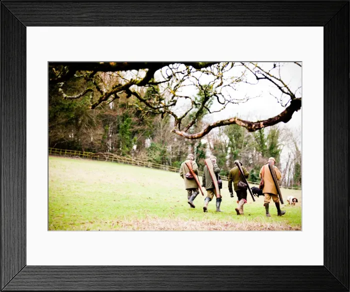 Framed Print : Guns walking to next drive, Dorset, England, United Kingdom, Europe Framed Print : Guns walking to next drive, Dorset, England, United Kingdom, Europe