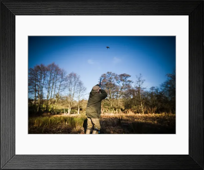 Framed Print : Gun shooting, Wales, United Kingdom, Europe Framed Print : Gun shooting, Wales, United Kingdom, Europe