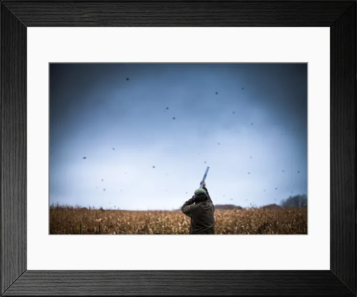 Framed Print : Gun shooting, Wales, United Kingdom, Europe Framed Print : Gun shooting, Wales, United Kingdom, Europe