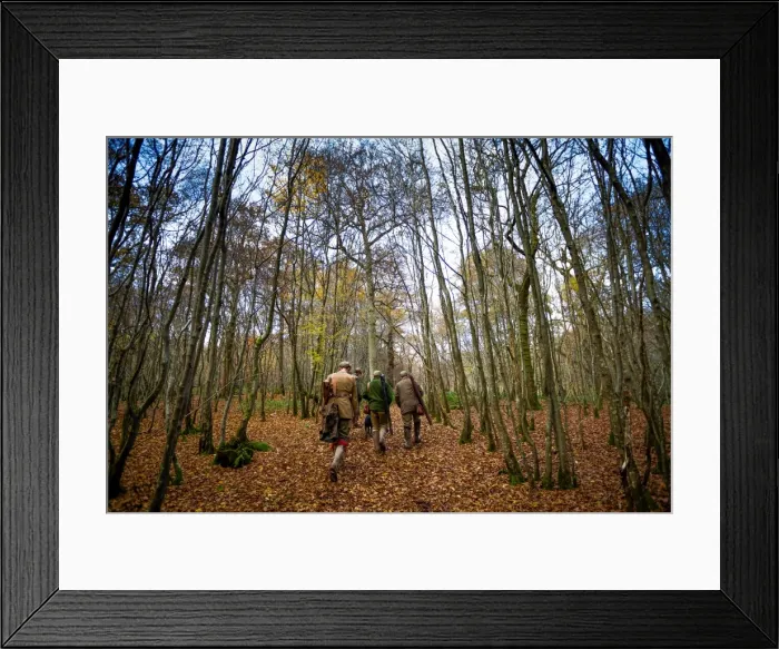 Framed Print : Guns walking to the next drive, Somerset, England, United Kingdom, Europe Framed Print : Guns walking to the next drive, Somerset, England, United Kingdom, Europe