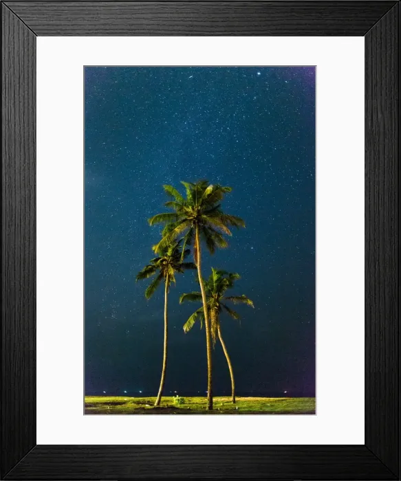 Framed Print : Palm trees under stars, Sri Lanka, Asia Framed Print : Palm trees under stars, Sri Lanka, Asia