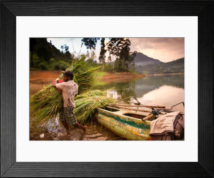 Framed Print : Farmer, Adams Peak, Sri Lanka, Asia Framed Print : Farmer, Adams Peak, Sri Lanka, Asia