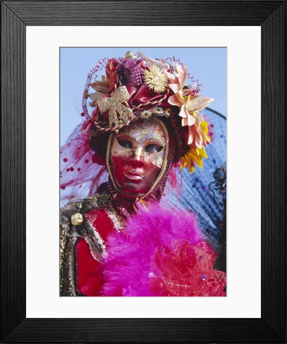 Framed Print : Person wearing masked carnival costume Framed Print : Person wearing masked carnival costume
