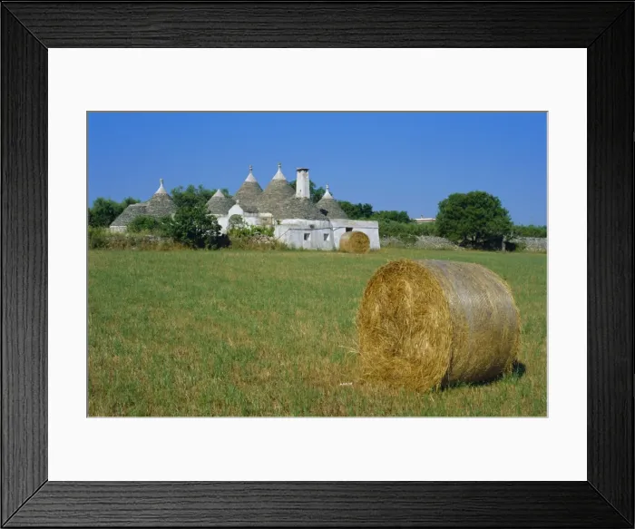 Framed Print : Alberobello region Framed Print : Alberobello region