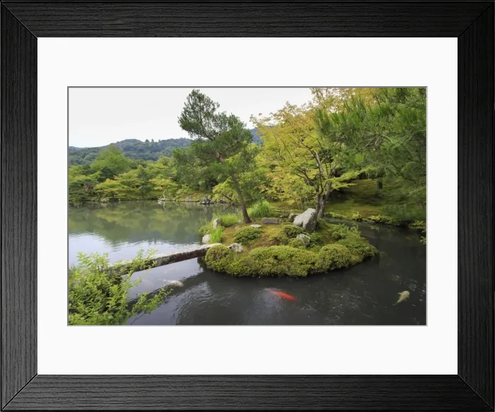 Framed Print : Tenryu-ji temple, Zen garden lake with carp, backdrop of borrowed mountain scenery in summer Framed Print : Tenryu-ji temple, Zen garden lake with carp, backdrop of borrowed mountain scenery in summer