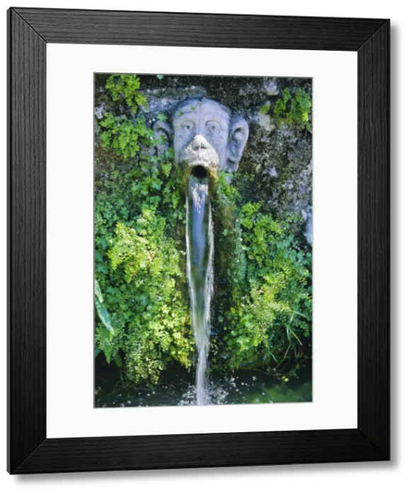 Framed Print : Villa d Este Framed Print : Villa d Este