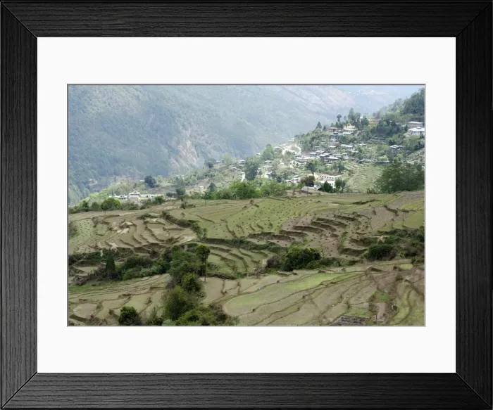 Framed Print : Terraced ricefields near Kuruthang, on the Puna Tsang Chu valley beside the road Framed Print : Terraced ricefields near Kuruthang, on the Puna Tsang Chu valley beside the road