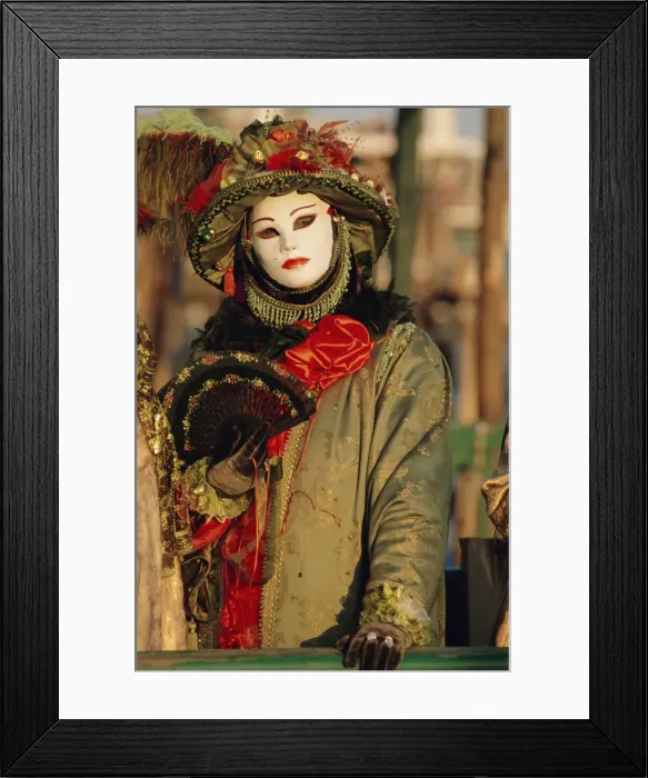 Framed Print : Person wearing masked carnival costume Framed Print : Person wearing masked carnival costume