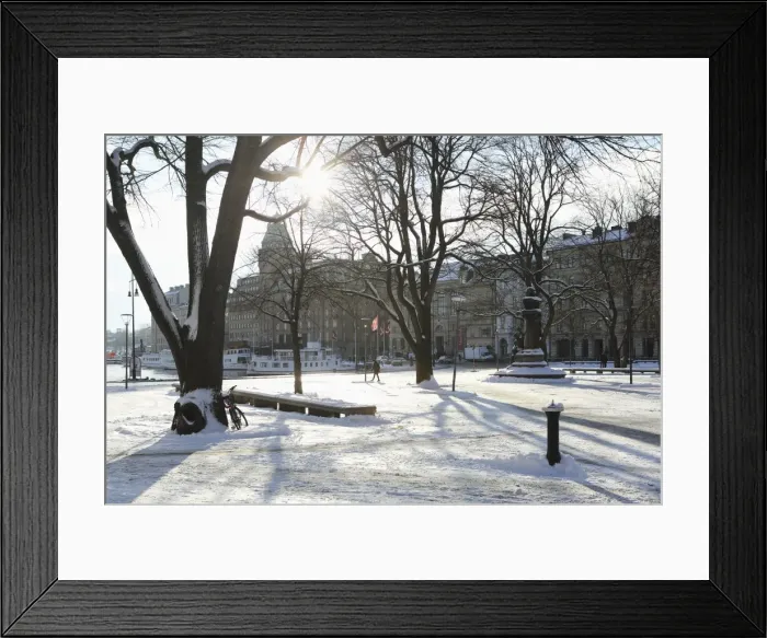 Framed Print : Sunshine in the snow-covered Berzelii Park, by the waterfront at Nybroviken, in Stockholm Framed Print : Sunshine in the snow-covered Berzelii Park, by the waterfront at Nybroviken, in Stockholm