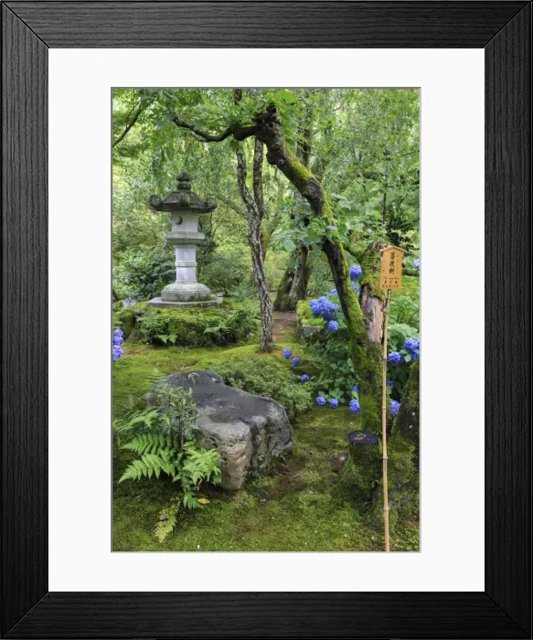 Framed Print : Tenryu-ji temple garden, large stone lantern amongst leafy trees with vivid blue Framed Print : Tenryu-ji temple garden, large stone lantern amongst leafy trees with vivid blue