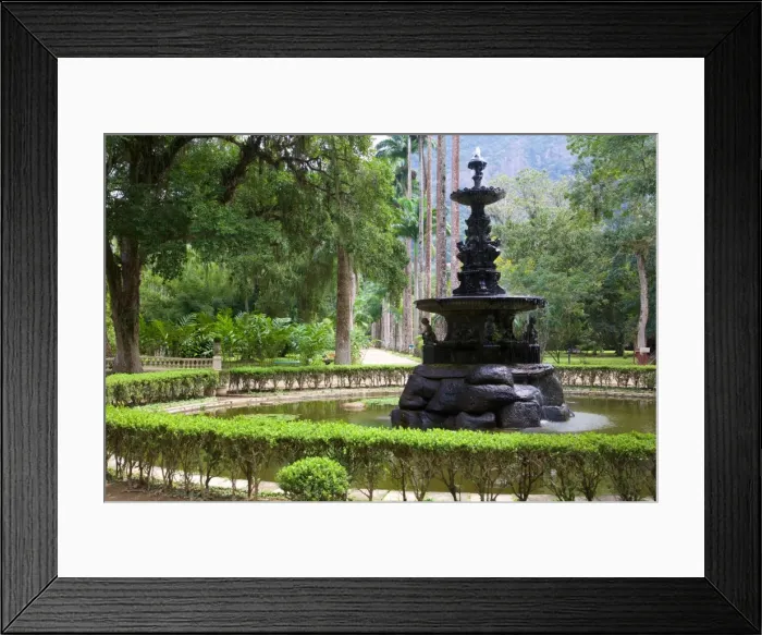 Framed Print : The Botanical Gardens, Rio de Janeiro, Brazil, South America Framed Print : The Botanical Gardens, Rio de Janeiro, Brazil, South America