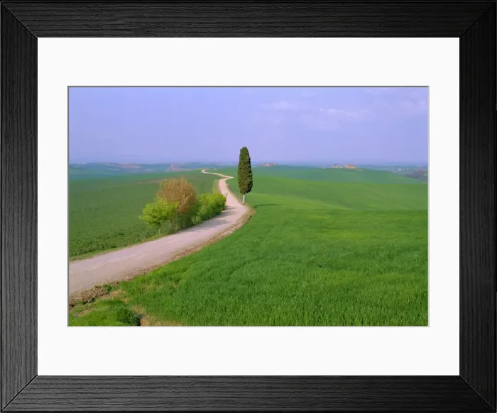 Framed Print : Narrow road through countryside near Siena Framed Print : Narrow road through countryside near Siena