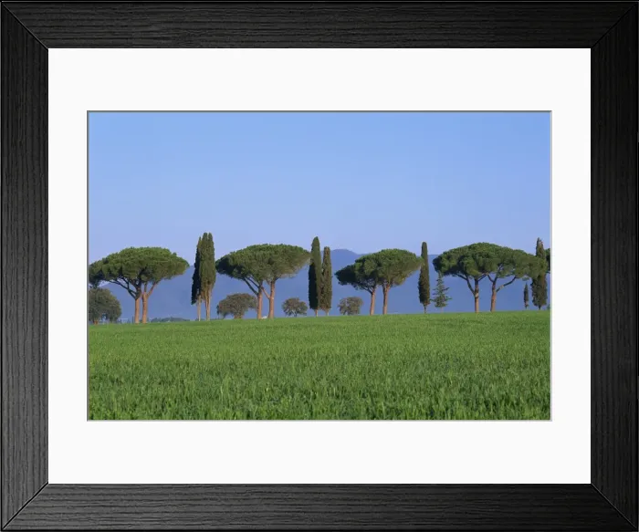 Framed Print : Landscape of green field Framed Print : Landscape of green field