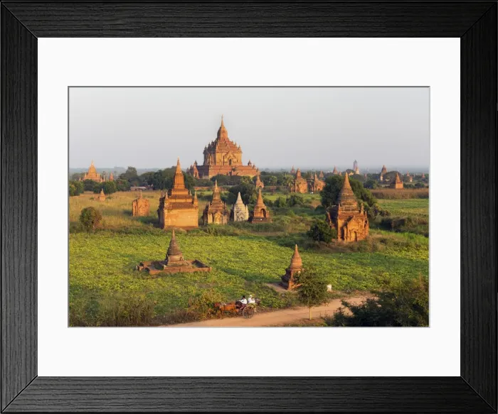 Framed Print : Traditional horse and cart passing the Pagodas in Bagan (Pagan), Myanmar (Burma), Asia Framed Print : Traditional horse and cart passing the Pagodas in Bagan (Pagan), Myanmar (Burma), Asia