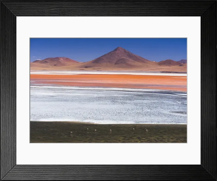 Framed Print : Flamingos at Red Lagoon (Laguna Colorada), a salt lake in the Altiplano of Bolivia Framed Print : Flamingos at Red Lagoon (Laguna Colorada), a salt lake in the Altiplano of Bolivia