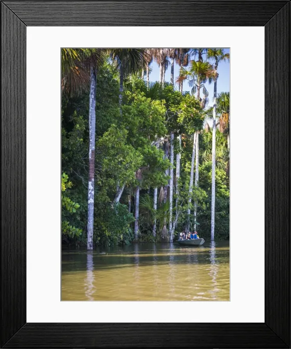 Framed Print : Canoe boat trip on Sandoval Lake, Tambopata National Reserve, Amazon Jungle of Peru Framed Print : Canoe boat trip on Sandoval Lake, Tambopata National Reserve, Amazon Jungle of Peru