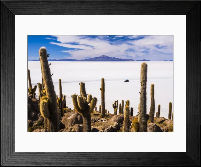 Framed Print : Cactus covered Fish Island (Isla Incahuasi) (Inka Wasi), Uyuni Salt Flats (Salar de Uyuni) Framed Print : Cactus covered Fish Island (Isla Incahuasi) (Inka Wasi), Uyuni Salt Flats (Salar de Uyuni)