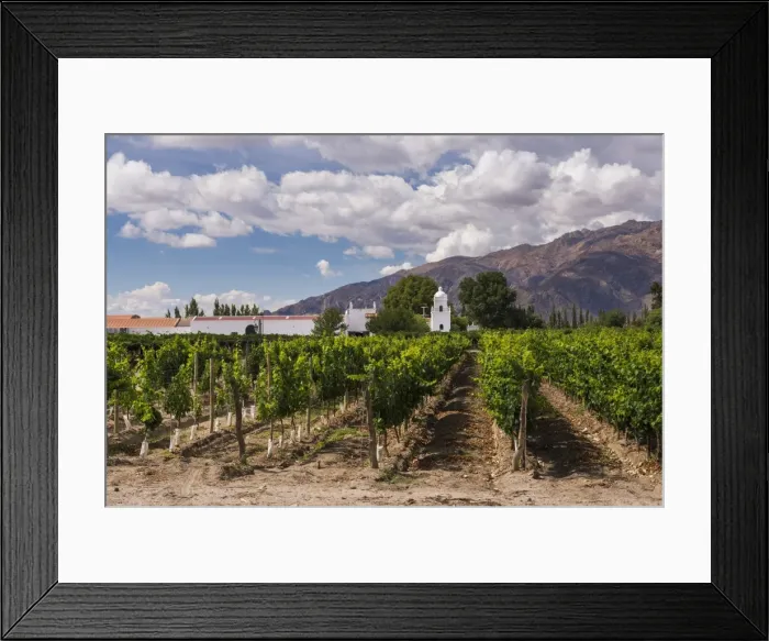 Framed Print : Bodega El Esteco, a winery and vineyard in Cafayate, Salta Province, North Argentina Framed Print : Bodega El Esteco, a winery and vineyard in Cafayate, Salta Province, North Argentina